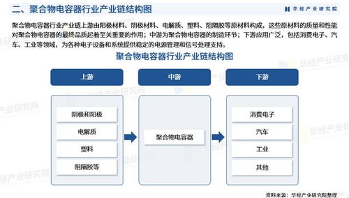2025年中國聚合物電容器行業(yè)市場(chǎng)深度調(diào)查及投資前景預(yù)測(cè)報(bào)告