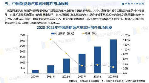 2025年中國(guó)新能源汽車高壓部件行業(yè)市場(chǎng)深度調(diào)查及投資前景預(yù)測(cè)報(bào)告