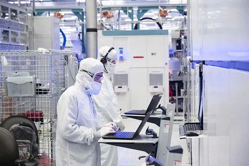 沒有移民，美國工業復興只是做夢——信息技術咨詢服務的視角